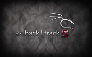 معرفی نرم افزار نفوذپذیری Backtrack - تکفارس 