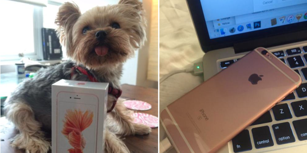 یک دختر خوش شانس کالیفرنیایی، iPhone 6s اش را ۳ روز زودتر از موعد مقرر دریافت کرد - تکفارس 