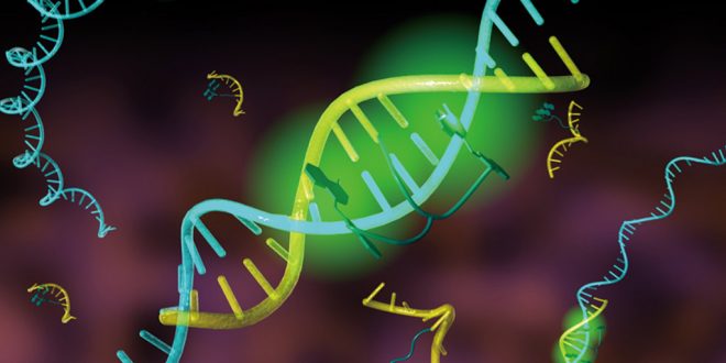 تولید مواد جدید از DNA - تکفارس 