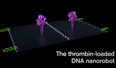 نانوربات هایی که تومور های سرطانی را نابود می‌کنند - تکفارس 