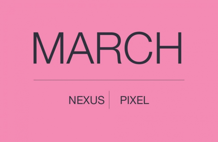 عرضه تنظیمات امنیتی ماه مارس برای گوشی‌های نکسوس و پیکسل توسط گوگل - تکفارس 