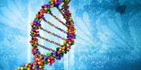 تولید مواد جدید از DNA - تکفارس 
