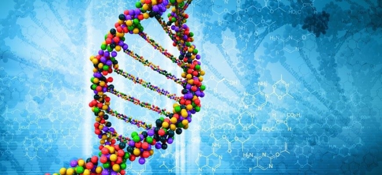 ویدیو؛ اگر انسانها DNA خود را طراحی می‌کردند، چه می‌شد؟ - تکفارس 