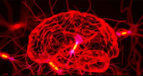 یافتن روش‌های درمانی جدید توسط دانشمندان با بازگشایی سیگنال‌های مغزی - تکفارس 