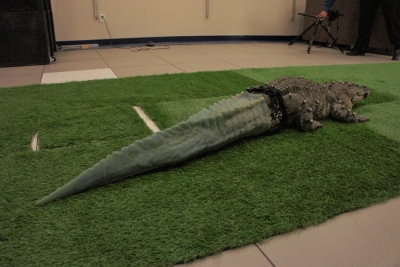 پایان خوش داستان غم‌انگیز زندگی یک تمساح با چاپ سه بعدی - تکفارس 
