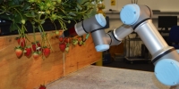 ربات‌ کوچکی که با الهام از کرم‌ابریشم پیله‌های فایبرگلاس تولید می‌کند - تکفارس 