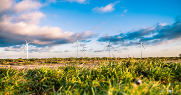 تحقیقات نشان داده است که مزارع بادی موجب افزایش دمای زمین می‌شوند - تکفارس 