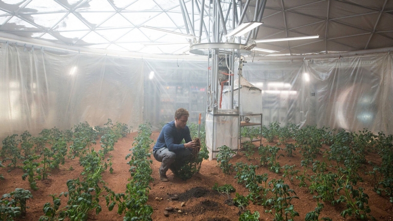کشف پروتئین گیاهی که کشاورزی در فضا را ممکن می‌سازد - تکفارس 