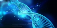 دانشمندان برای اولین بار ژنوم کامل انسان را توالی یابی کردند - تکفارس 