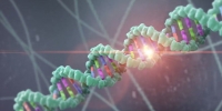 روش جدید ژن درمانی برای افزایش طول عمر - تکفارس 