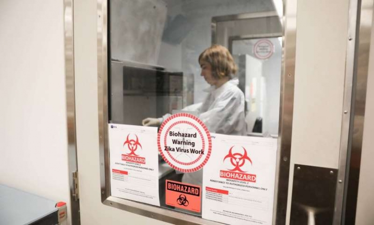 ایجاد روشی جدید برای تشخیص ویروس زیکا و ابولا - تکفارس 