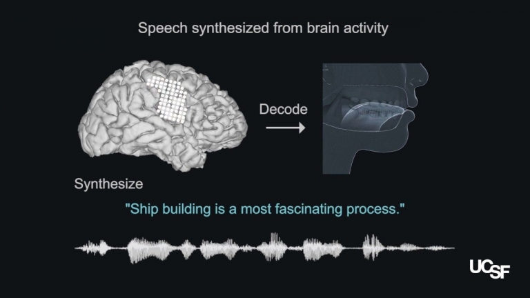 تبدیل فعالیت مغز به نوشتار توسط هوش مصنوعی - تکفارس 