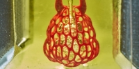 چاپ سه‌بعدی قلب با سلول های انسانی - تکفارس 