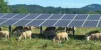 سلول خورشیدی پاناسونیک رکورد بازدهی ۲۵.۶ درصدی را ثبت کرد - تکفارس 