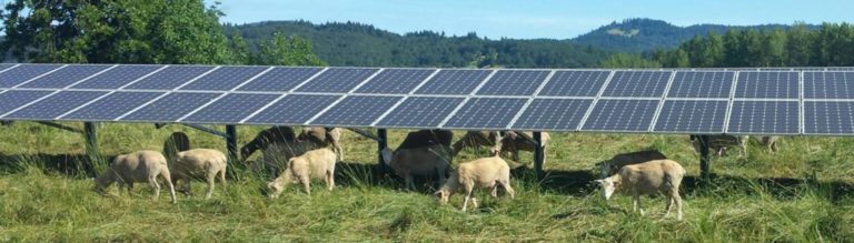 بر اساس پژوهش‌ها زمین‌های کشاورزی بهترین جا برای مزارع انرژی خورشیدی هستند - تکفارس 