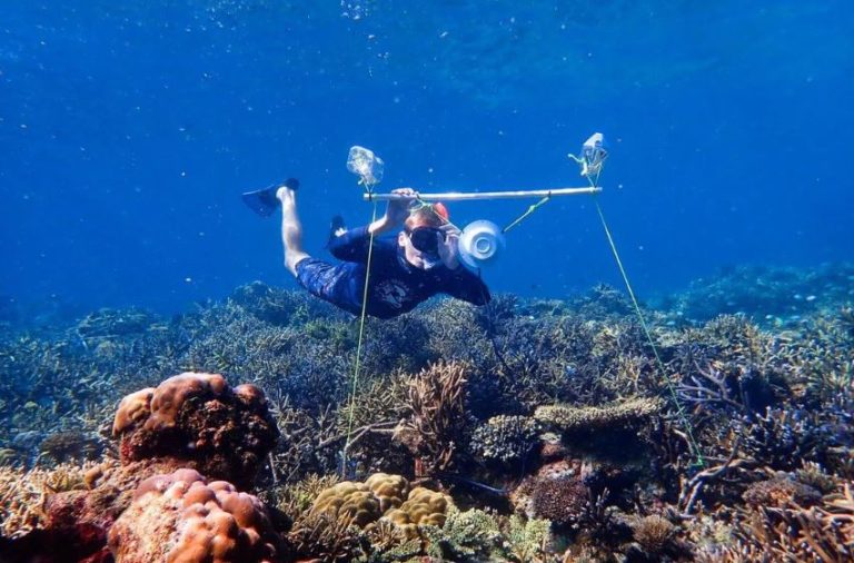 قراردادن بلندگو‌ها در زیر آب می‌تواند به احیای صخره‌های مرجانی کمک نماید - تکفارس 