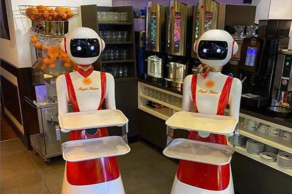 به‌کارگیری ربات‌های پیشخدمت در رستورانی در هلند برای رعایت فاصله‌گذاری اجتماعی - تکفارس 