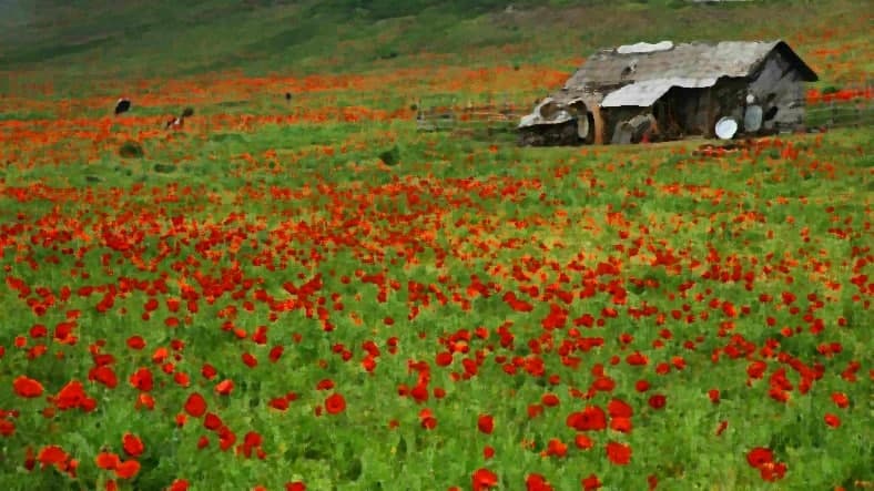 تبدیل عکس به نقاشی در فتوشاپ