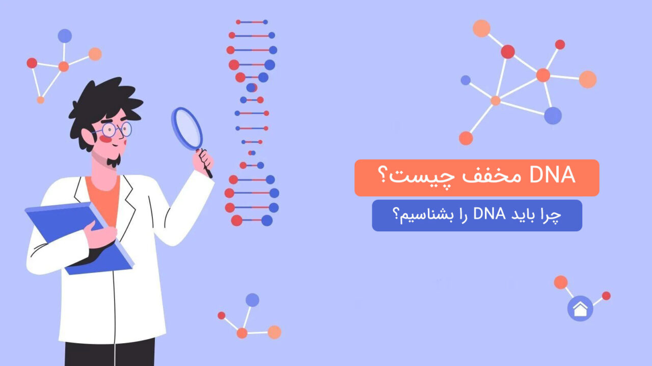 dna مخفف چیست