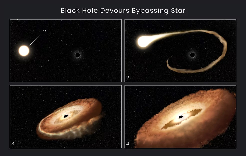 ناسا لحظه بلیعده شدن یک ستاره توسط یک سیاه چاله را ثبت کرد - تکفارس 