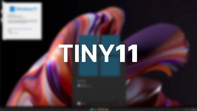 Tiny11