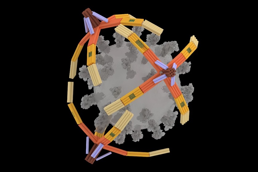 بازوی میکروسکوپی از DNA